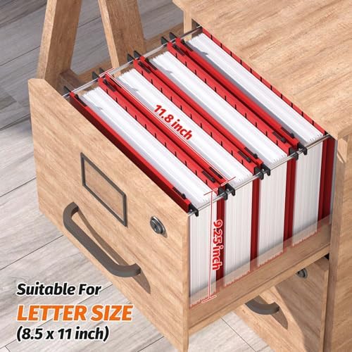 Extra Capacity Plastic Hanging File Folders,12 Pack Reinforced Hang Folders,Heavy Duty 2 Inch Expansion,Plastic Filing Cabinet Folders,Letter Size,for Bulk Files, Medical Charts,Red
