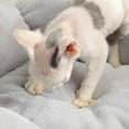 thumbnail image 4 of AAOMASSR Chat Chien Coussin Fleur Imperméable Lavable Animal de Compagnie Chaud Lit Moelleux, 4 of 10