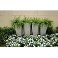 thumbnail image 6 of Ecobo 35.4 inches Eco-Friendly Rectangular Pot Planter, Capri Indoor/Outdoor use, Durable, Versatile & Lightweight, Designed by Brazilian Artisans, Contemporary All-Weather Design – Grey, 6 of 7