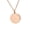 Rose color, variant on Pet Cremation Jewelry Pet Memorial Urn Pendants Necklace for Dog Cats Ashes
