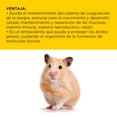 thumbnail image 5 of Alimento Para Hamster Jerbo Kaytee Supreme 907 gramos Alimento, 5 of 5