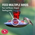 thumbnail image 3 of Perky-Pet 24 oz Red Antique Bottle Hummingbird Feeder, 3 of 10