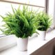 thumbnail image 4 of 12 Piezas de Plantas Artificiales para Helechos al Aire Libre Planta Helecho Boston Artificial PláStico, 4 of 5