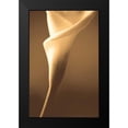 thumbnail image 2 of Ryan, Cinzia 17x24 Black Modern Framed Museum Art Print Titled - Enlightenment, 2 of 5