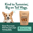 thumbnail image 6 of Portland Pet Food Company Pumpkin Dog Treats Healthy Biscuits for Small Medium & Large Dogs - Grain-Free, Human-Grade, All Natural Cookies, Snacks & Training Treats - Made in The USA - 3 Pack (5 oz), 6 of 7
