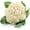Cauliflower - Snowball, variant on Vegetable Garden Seeds for Planting - Grow Heirloom Vegetables (Rainbow Carrots)