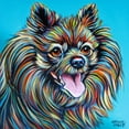 thumbnail image 3 of Vitaletti, Carolee 15x15 Black Modern Framed Museum Art Print Titled - Kaleidoscope Dog III, 3 of 5