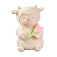 thumbnail image 3 of Juguetes de peluche de dibujos animados, decoración de sala de estar, juguete para acompañar el sueño para niños, niñas, adolescentes y adultos, 25 centímetros, 3 of 8