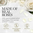 thumbnail image 4 of GLAMOUR BOUTIQUE 7-Piece Forever Flowers Heart Shape Box - Preserved Roses, Immortal Roses That Last A Year - Eternal Rose Preserved Flowers for Delivery Prime Mothers Day & Valentines Day - White, 4 of 8