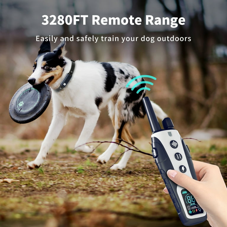 Dog pee shock clearance collar