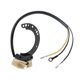 thumbnail image 2 of Estator Assy Maganet Coil para Mercury Mariner 1979-1997 Reemplazo de Piezas 174-6617K1 86617A20, 2 of 5