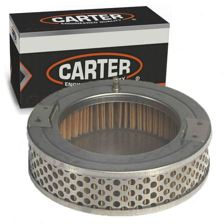 Carter Module Fuel Pump Strainer compatible with Dodge W150 3.9L 5.2L 5.9L V6 V8 1991-1993