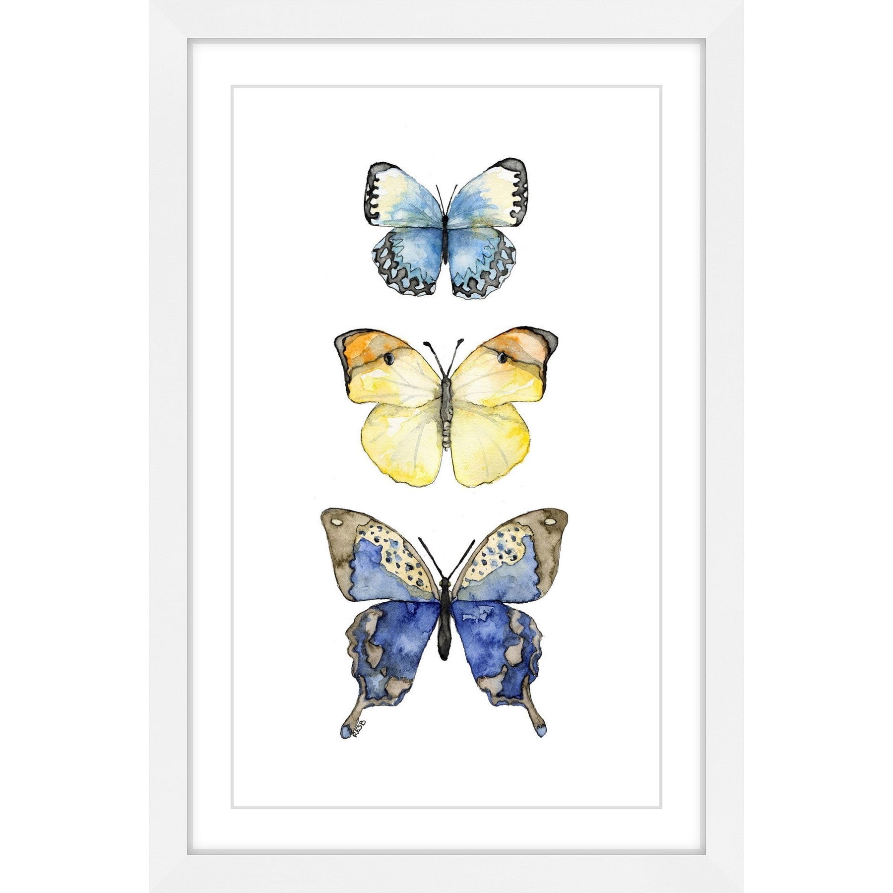 Marmont Hill "Three Butterflies" by Rachel Byler Framed Painting Print