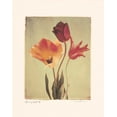thumbnail image 2 of Amy Melious 36x44 Gallery Wrapped Canvas Wall Art Titled - Spring Color III, 2 of 4