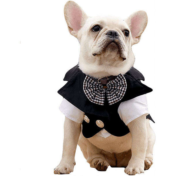 Bulldog 2024 tuxedo costume