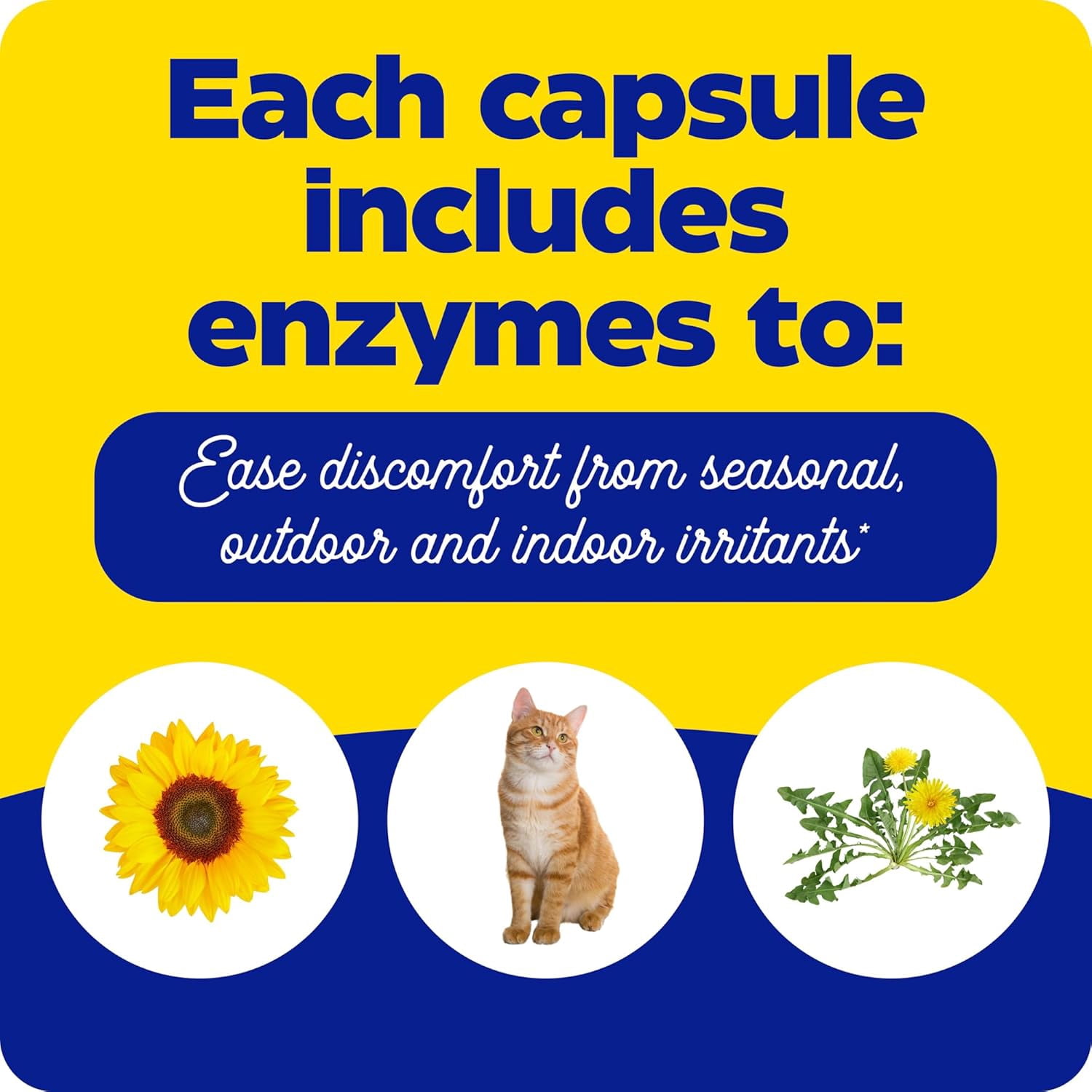 Enzymedica, Allerase, Non-Drowsy Enzyme Supplement to Help Relieve Seasonal Mucus Buildup, Vegan, Kosher, 60 capsules (60 servings)