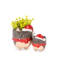 thumbnail image 2 of Cat With Santa Hat Footed Planter, 2 of 3