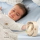 thumbnail image 3 of Ventilador de escritorio EasyAcc USB Small Slumber Pod, giratorio 360°, 3 velocidades, 3 of 7