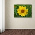thumbnail image 3 of Trademark Fine Art "Purity" Canvas Art by Monica Fleet, 3 of 3