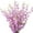 Purple, variant on Artificial Orchids Flowers, Silk Fake Faux Dancing Lady Orchids,10Pcs (Each 39”), for Indoor Outdoor Wedding Home Office Party Hotel Decoration(Yellow)