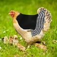 thumbnail image 2 of asddcavvf Chicken Saddle for Hens Chicken Apron with Elastic Strap Chicken Jacket Strap Poultry Prot, 2 of 6