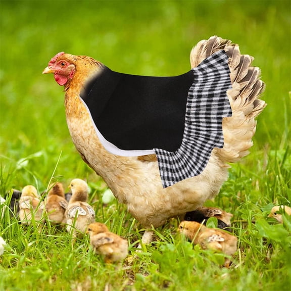 Pet Sweater Product Poultry Protector Hen Apron and Elastic Strap Jacket for Hens Feather Fixer and Chicken Saddle Durable Poultry Shield for hens