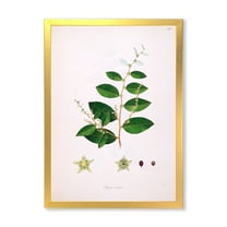 Designart 'Ancient Plant Life XVI' Farmhouse Framed Art Print