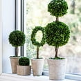 thumbnail image 3 of Faux Boxwood Boxed Topiary, Medium-Color:Green,Style:Botanical, 3 of 6