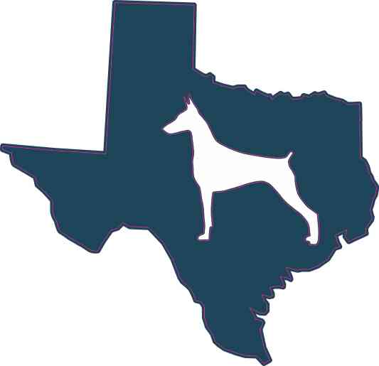 FREE SHIPPING Doberman Pinscher Dog Vinyl Die Cut Car Decal Sticker