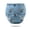 R, variant on NordicNest Training Underwear Training Undies Kids Underwear Leakproof For Boys And Girls Clothes Girl 6 Years Back to School