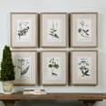 thumbnail image 2 of Uttermost 33651 Green Floral Botanical Study Six Piece Framed Print Set By Grace Feyock -, 2 of 3