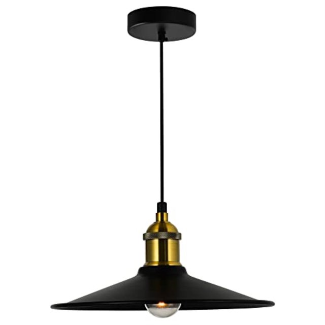 Cwi Lighting Brave 1 Lumière Noir Mini Pendentif