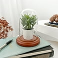 thumbnail image 2 of Plymor 3" x 5" Glass Display Dome Cloche (Walnut MDF Base), 2 of 3