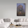 thumbnail image 3 of Trademark Fine Art 'Mountain Ash Grizzly' Canvas Art by Allen Jimmerson, 3 of 3
