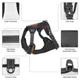 thumbnail image 3 of Naloa Cool Dolphin Pet Harness Vest with Traction Rope, Adjustable No-Choke Dog Vest for Outdoor, Walking - Small, 3 of 4