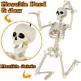 thumbnail image 3 of Fdyrgv 4 Pack Skeleton Decoration, 16" Posable Full Body Skeleton with Movable Joints, Realistic Spooky Skeletons for Haunted House Graveyard Props Decor, 3 of 8