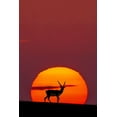 thumbnail image 2 of Saleem, Abdul 23x32 White Modern Wood Framed Museum Art Print Titled - Sun Crossing, 2 of 4