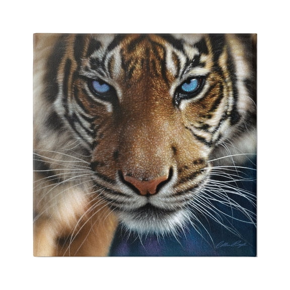 Stupell Industries Blue Eyed Beautiful Fierce Tiger Close Up Detailed Portrait Paintings Gallery-Wrapped Canvas Print Wall Art, 17x17, by Collin Bogle
