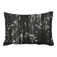 thumbnail image 1 of RYLABLUE White Flowing Notes With Black Decorative Pillowcases With Hidden Zipper Decor Cushion Covers Two Side 20x30 inches, 1 of 1
