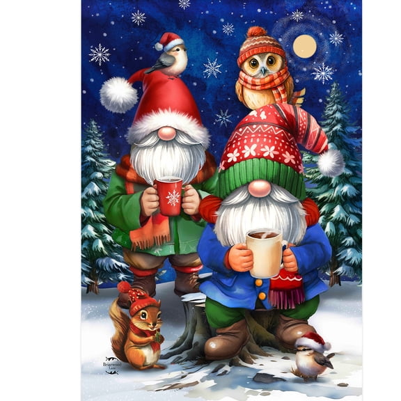 Briarwood Lane Winter Garden Flag 12x18 For Outdoor Warm Wishes Gnomes For Winter Garden Flag Flags For Outside