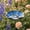 A, variant on Pollinator Waterer, Glazed Floral Ceramic Stake Design Outdoor Garden Insect Water Bath Yard Decor Ornament