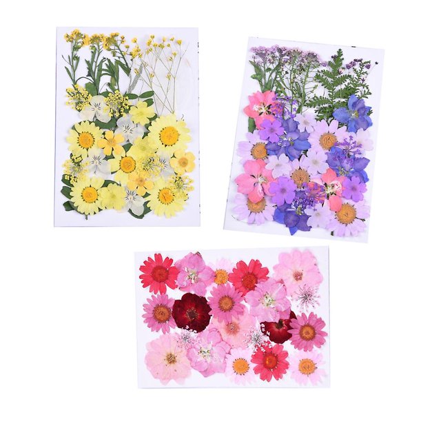 Flores secas naturales, flores prensadas, hojas secas mezcladas, flores secas múltiples para manualidades, álbum de recortes de resina Diy