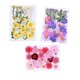 thumbnail image 1 of Flores secas naturales, flores prensadas, hojas secas mezcladas, flores secas múltiples para manualidades, álbum de recortes de resina Diy, 1 of 5
