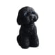 thumbnail image 3 of Figura de perro en miniatura, adorno de escritorio de resina, linda decoración para tablero de automóvil. negro en cuclillas, 3 of 9