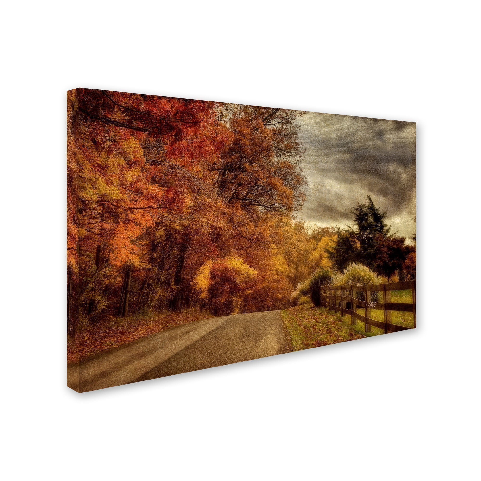 Trademark Fine Art "And the Seasons They Go Round and Round" Canvas Art by Lois Bryan