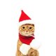 thumbnail image 4 of Gorro de Navidad para gatos con bufanda, conjunto de disfraz navideño para mascotas, gorro de Navidad para perros y gatos, rojo S, 4 of 5
