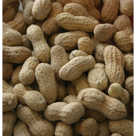 #1 FANCY PEANUT WITH SHELL