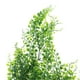 thumbnail image 3 of 5 piezas artificiales de 75 cm de hiedra que se arrastran guirnaldas hojas de colgantes + 5 piezas de árbol de perfecl Ivy Vine Artificial, 3 of 8