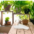 thumbnail image 4 of OULII 5 Pcs Plateau d'Eau en Résine PP Transparent pour Jardin et Balcon 7.8 Po, 4 of 8
