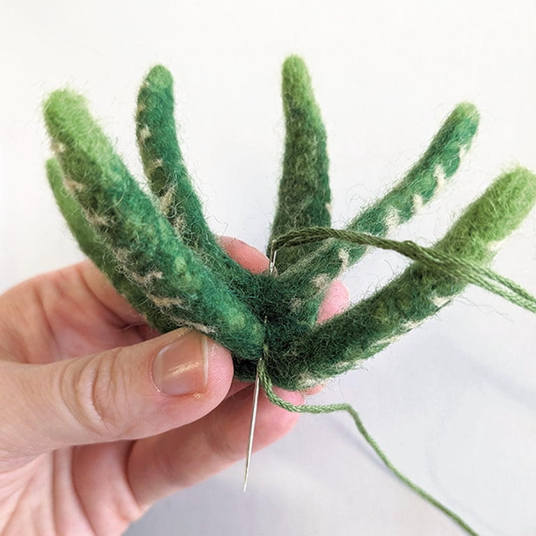 Hillfolk Needle Felted Succulent Kit- Includes Wool Roving, Needle, Foam Block , Wood Pot, And Instructions. Green, Makes One.